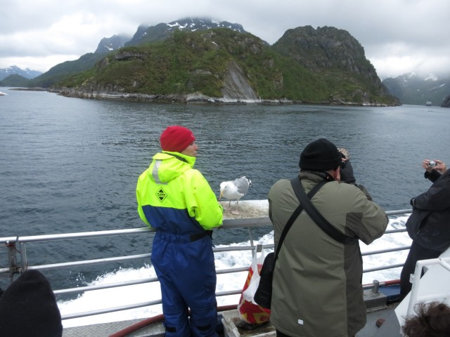 Hurtigruten_2015-06-25_16-59-1